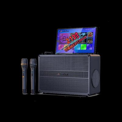 SANSUI C7 Универсальная уличная караоке-система, штекер CN (адаптер в комплекте)