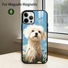 Cute Cartoon Bichon P-puppy Phone Case For iPhone17,16,15,14,13,12,11 Plus,Pro Magnetic with Magsafe Wireless Charging