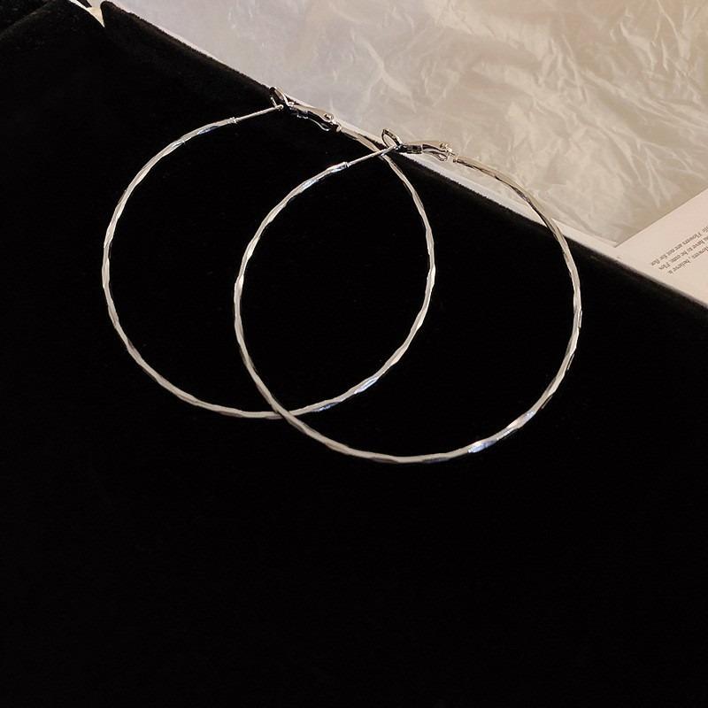Серебряная Игла Осень и Зима Металлические Серьги Серьги Нишевая Мода Серьги в Холодном Стиле Универсальные Легкая Роскошь Премиальные Серьги