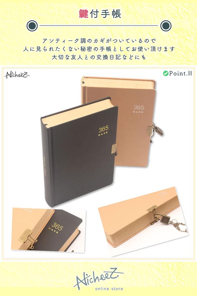 Nicheez Lockable 365-Day Diary, Antique Style (Black)