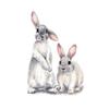Rabbit – как на картинке