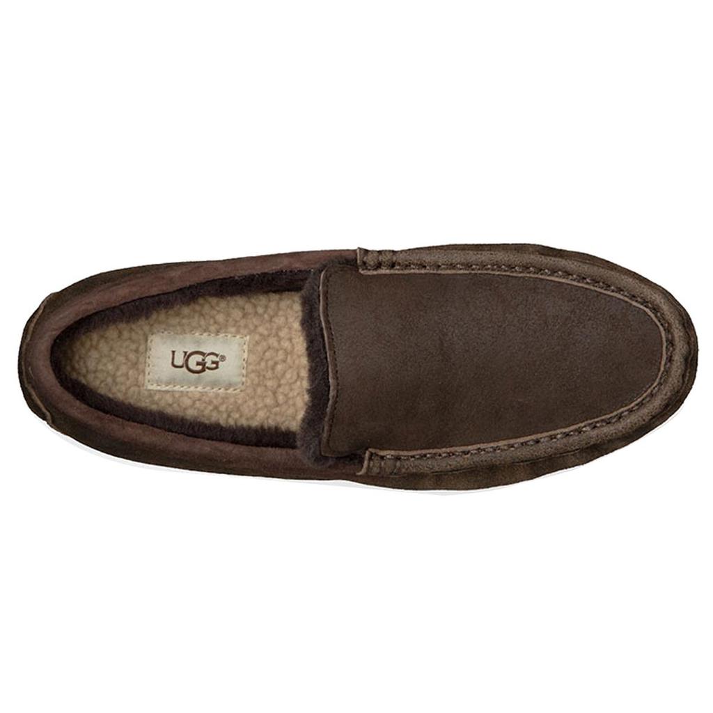UGG Мужская повседневная обувь Мужская низкая Umber 1014502-BJC