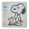 Мини-пряжа Nishikawa Snoopy для Радужного Полотенца, 25x25см, Стираемая, 100% Хлопок, Пряжа без крутки, Полая, Легкая пряжа без крутки,