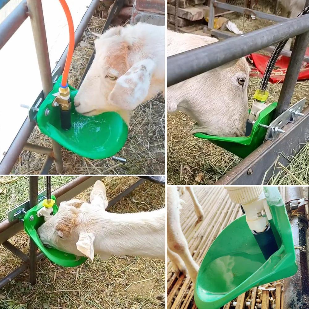 Plastic Livestock Drinker Green Sheep Waterer Farm Accessory Sheep Water Bowl Farm Use