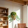 Набор для создания зеленого растения из бусин с керамическим горшком, DIY набор для изготовления горшечных растений из бусин, Ловец солнца, Набор для подвешивания на окно, Декор для дома, сада, автомобиля