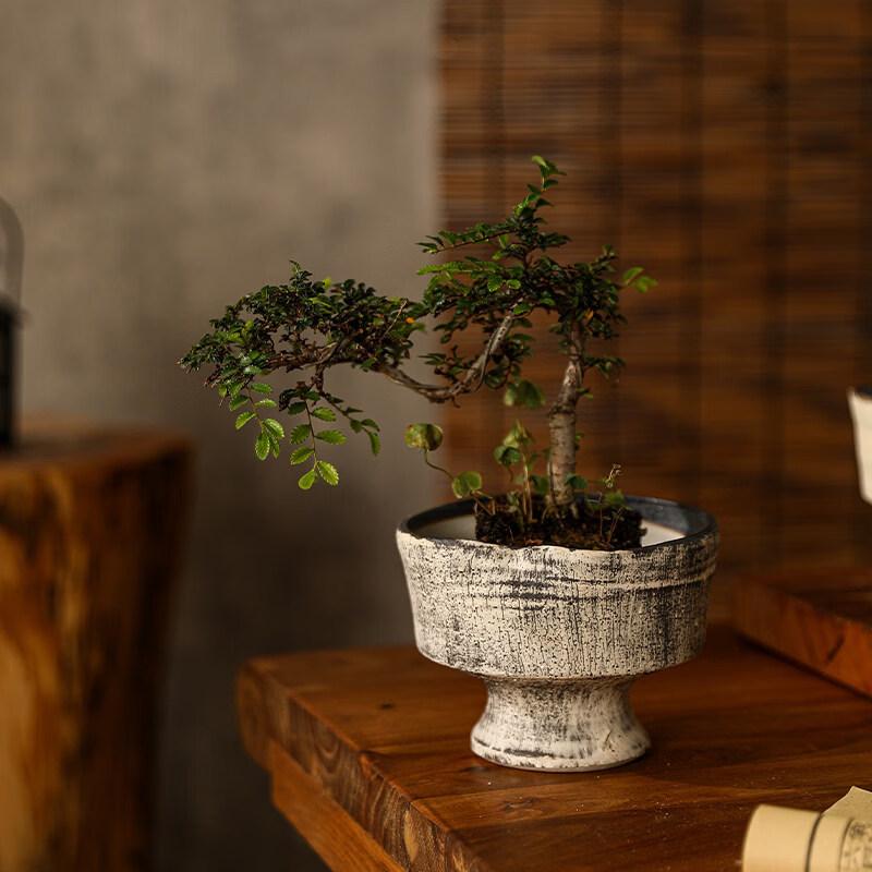 Керамический горшок для растений Lilang Jingdezhen