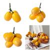 Artificial Fruit Model Simulated Loquat Fruit Model For Kitchen And Dinning Table Display