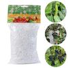 Garden Plant Climbing Net Fence Trellis Netting Support Climbing Creeper Tool