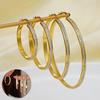 Sterling Silver/Gold Plated Zircon Hoop Earrings, Lightweight & Hypoallergenic, Compatible with Women (30–70mm)