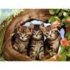 5D Diamond Painting Cat Full Round Drill DIY Diamond Embroidery Cross Stitch
