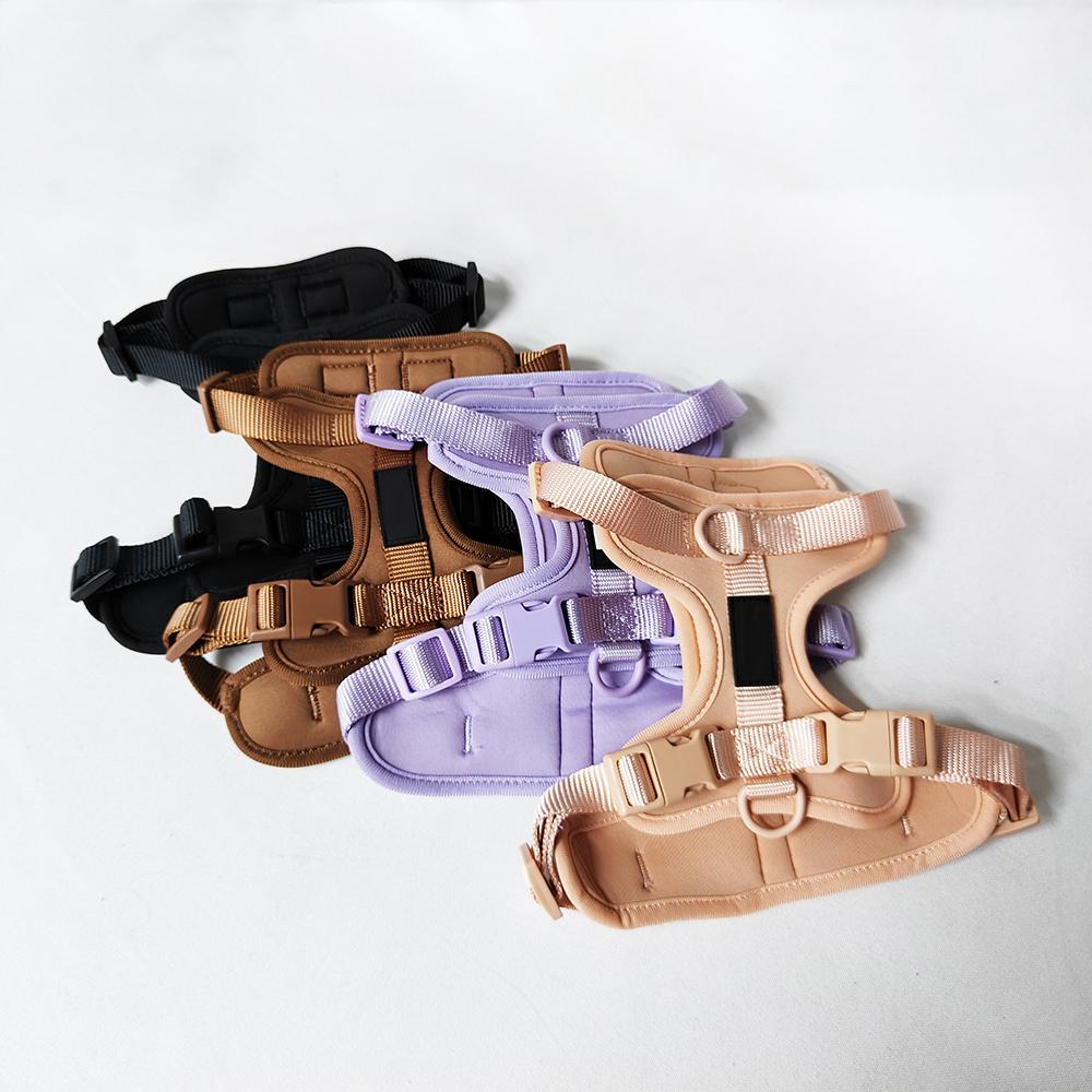 RTS Pvc Waterproof Dog Collar and Leash Set for Walking