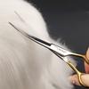 7.0 inch Professional Pet Grooming Scissors Fishbone Teeth Straight/Curved Thinning Scissor for Dogs Pet Groomer Tools Products
