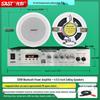 Потолочная акустическая система SANSUI с Bluetooth-усилителем, штекер CN (адаптер в комплекте) (Китайская версия)