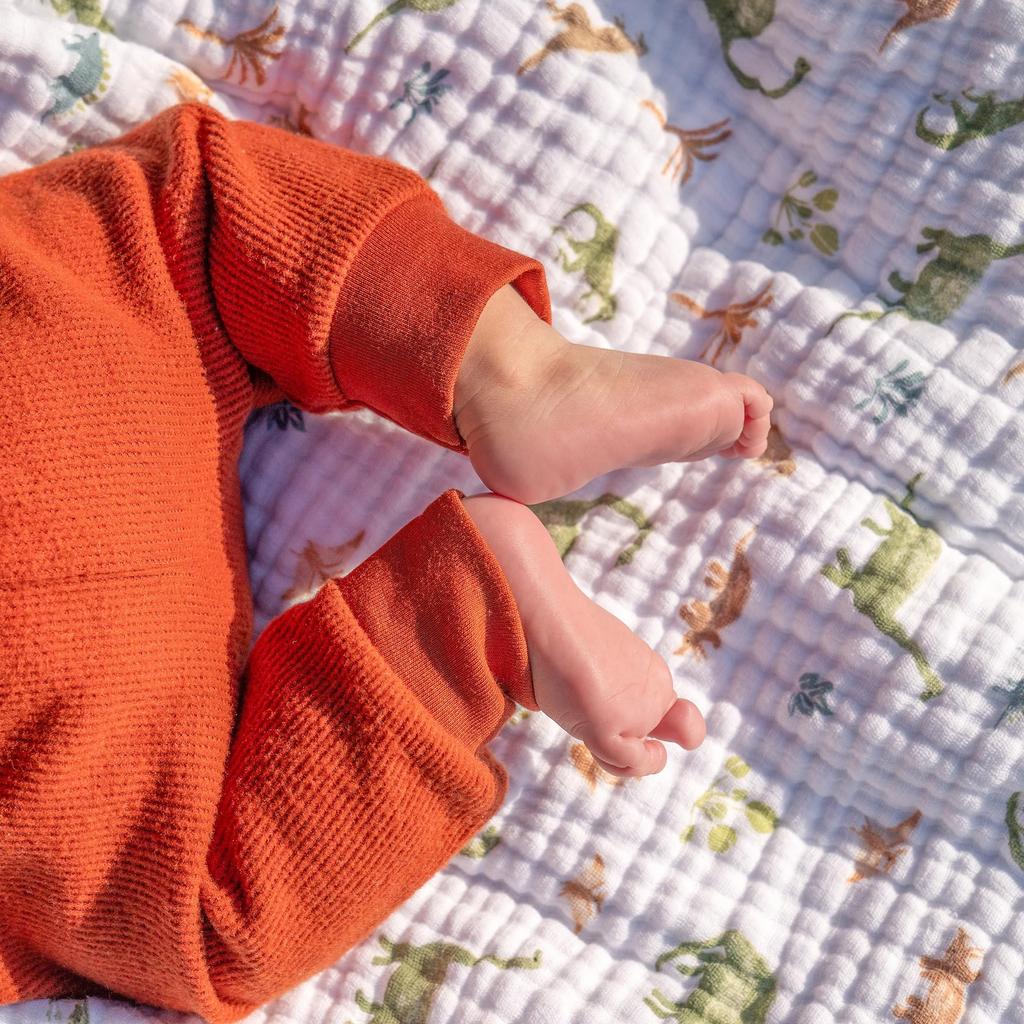 Aden + anais essentials Пеленка 2 шт. Dino Jungle 112x112 см Муслиновый Хлопок Для Новорожденных Успокоение При Ночном Плаче Марля Подарок для Малыша SWADAEESWC20032