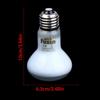 Uva Led Pet Heating Lamp 2 Kinds Uva Day Night Bulb 25W/40W/60W/75W/100W E27 Reptile Heat Bulb Reptiles