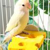 Birds Perch Cheese Shape Parrot Stand Wooden Parakeet Chewing Perch Paw Grinding Toy Birds Cage Accessories for Budgies Canaries Conures