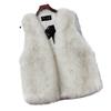 Imitation Fur Vest Women's Autumn and Winter Korean Version Imitation Fox Fur Vest Plush Vest Top Sleeveless Jacket