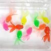 Giant Goldfish 10P Water Play Toy, Korean Bath Toys
