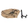 Dinosaur Skeleton Fossil Figure Resin High Simulation Dinosaur Fossil Model Statue for Study Office