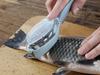 Fish Scaler (200) Gab_A