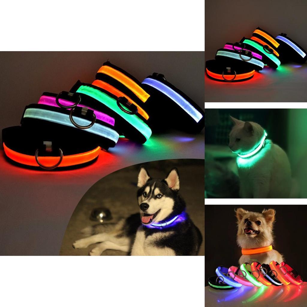 Bright Led Pet Collar For Cats And Dogs Adjustable Usb Rechargeable Nylon Material