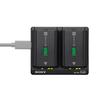 Sony BC-ZD1 Двухслотное зарядное устройство для аккумуляторов камеры CN-вилка (адаптер в комплекте)