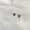 Hot Little Berry Korean Style Niche Design Small Rose Earrings Look White and Simple and Trendy