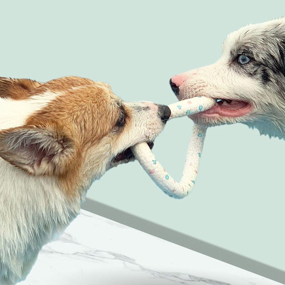 Bite Resistant Dog Chew Ball High Elasticity Dog Throwing Flying Toys Dog Toy