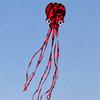 Large Single Line Kite Frameless Soft Animal Kite Durable Outdoor Fun Toy  Beach
