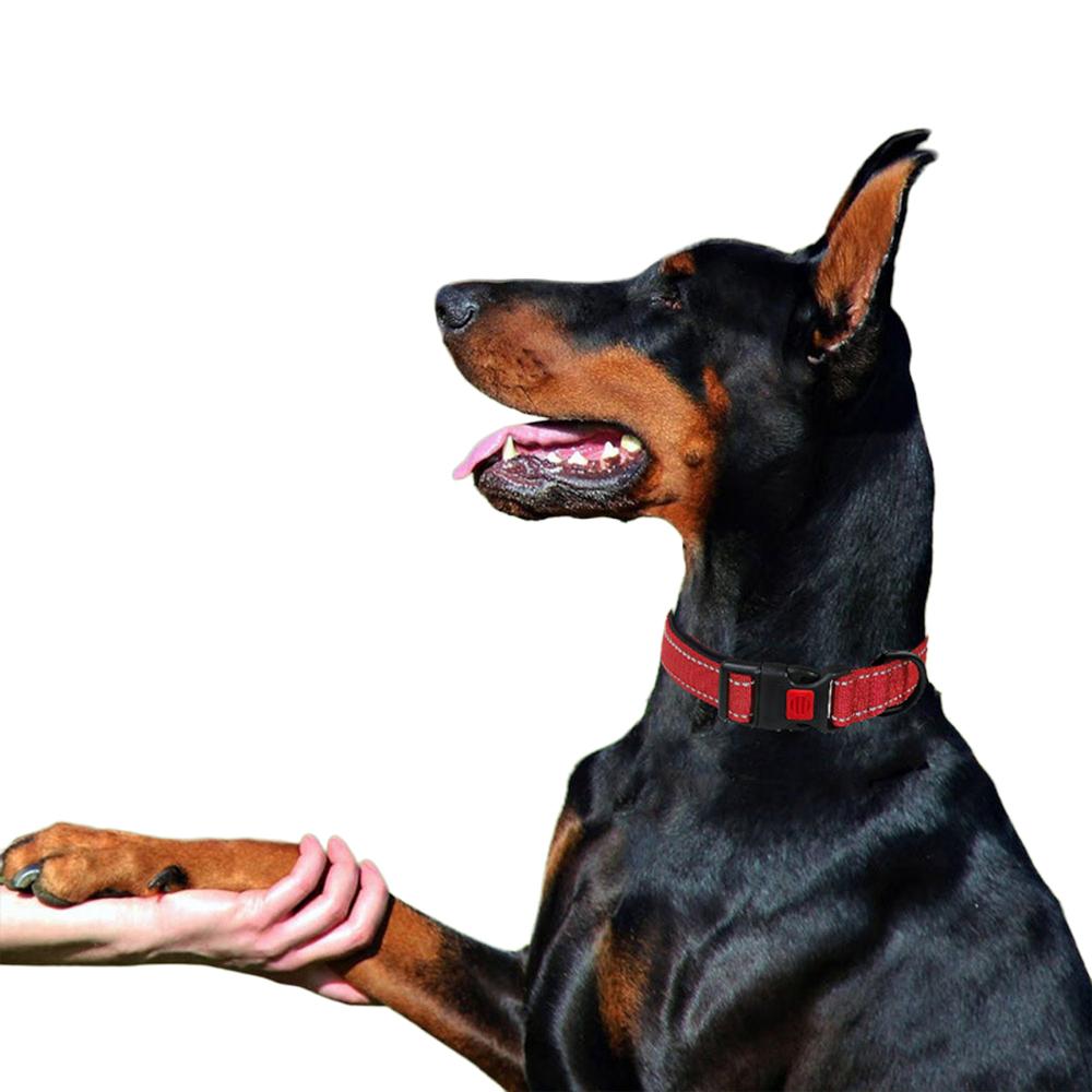 Ошейники для щенков домашних животных XS SML Регулируемый мягкий ошейник унисекс для собак Светоотражающий нейлоновый ошейник