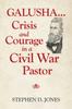 Книга Galusha Crisis and Courage In a Civil War Pastor