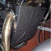 Triumph Scrambler 400X/Speed 400 Aluminum Radiator Guard