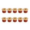 10PCS Brass Pipe Reducer 1/2 Male To 1/4 NPT Female Thread Bushing Adapter Pipe Fitting with Leakpro