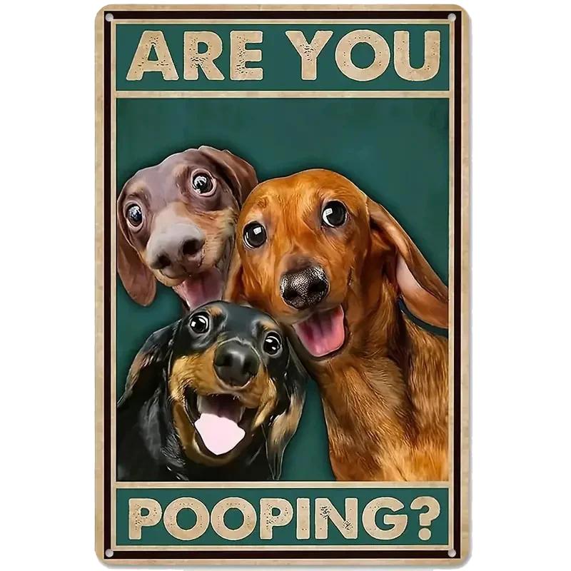 Retro Tin Sign Vintage Are You Pooping Signs Bathroom Restroom Wall Toilet DecorCats Lover Gift Funny Black Cat8x12inch