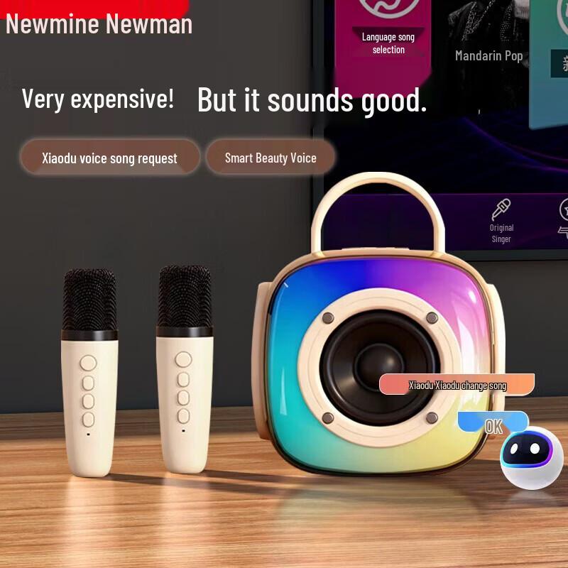 Bluetooth-динамик KTV Newmine M81 и набор из двух беспроводных микрофонов, штекер CN (адаптер в комплекте) (Китайская версия)