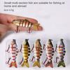Bass Crankbaits Bionic Bait 6cm 4.5g Plastic Hard Crank 2024 6 Segment Fishing Lures