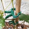 100/20 шт. Фиксирующие зажимы для растений Садовый многоразовый кронштейн для цветочной лозы, овощной рассады, помидоров, крепеж, садовые принадлежности