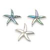 1Pc Natural Shell Brooch Pin Starfish Brooches for Women Jewelry Gifts 55x55 Mm