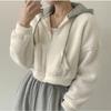Imitation Lamb Fur Short Jacket for Women In Autumn and Winter Korean Loose Plush Thickened Cardigan Zippered Hooded Top