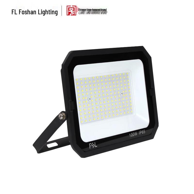 FSL IP65 Outdoor LED Floodlight