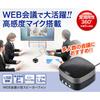 Sanwa поставляет веб-конференц-связь с небольшим микрофоном и проводным USB-подключением, совместимым со Skype/Zoom/Teams MM-MC28