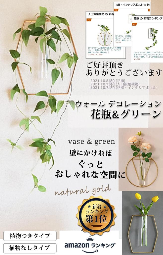 Настенное украшение Поддельная зеленая подвесная ваза Настенный набор Интерьер Зеленая Стильная ваза-пробирка (ромб (с Растением))