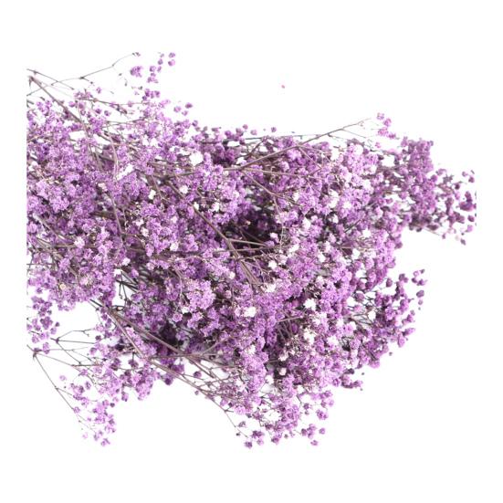 Букет из сухоцветов Yousheng Aeonium, яркие цвета, не выцветают, легко ухаживать, натуральная сушеная гипсофила, украшение ко Дню святого Валентина