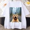 Мужская смешная футболка с кошкой Селфи Сасквоч Графическая футболка Футболка с круглым вырезом Взрослый стиль Обычная посадка Эластичная летняя футболка