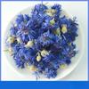 Cornflower Petals New Stock Cornflower Dried Flowers Bulk Cornflower 17.6oz