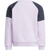 Adidas Logo Letter Crew Neck Pullover Sports Long Sleeve Kids Tops KB5129
