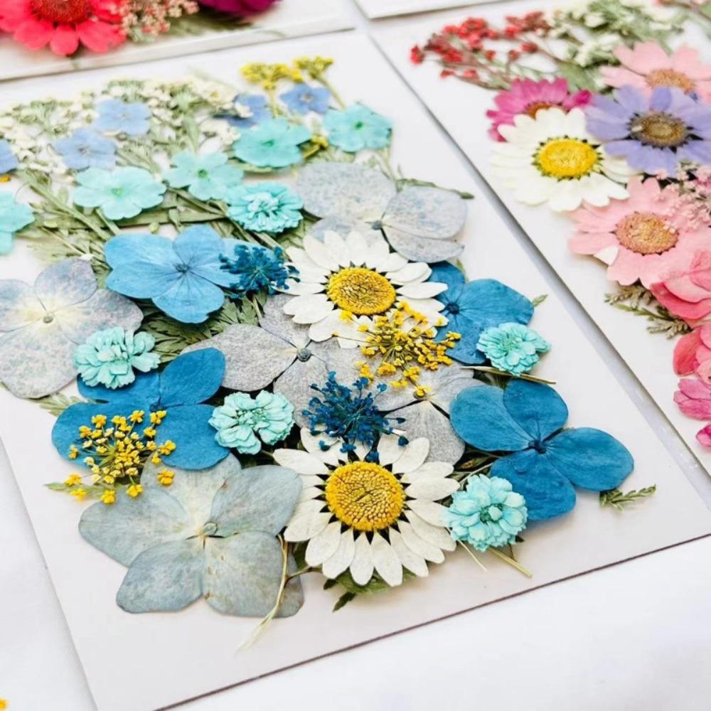 Natural Herbs Kit Dried Pressed Flowers Real Pressed Flowers Dry Leaves Bulk for Scrapbooking DIY Art Crafts Epoxy Jewelry Molds Soap Making