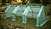 Awtools Tunel Foliowy Mini Szklarnia 295X95X95Cm