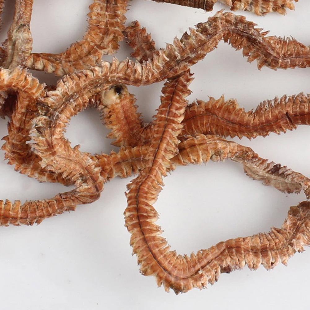 Lifelike Dry Lugworm Sandworms Fishing Lures Saltwater Freshwater Feeder Sea Fishing Worms Smell Soft Artificial Bait Lures