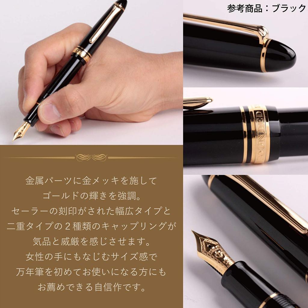 Sailor fountain pen Profit Standard 21 Черный Средний Пойнт 11-1521-420